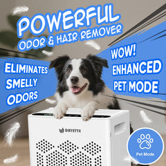 DAYETTE air purifier washable pre-filter installed