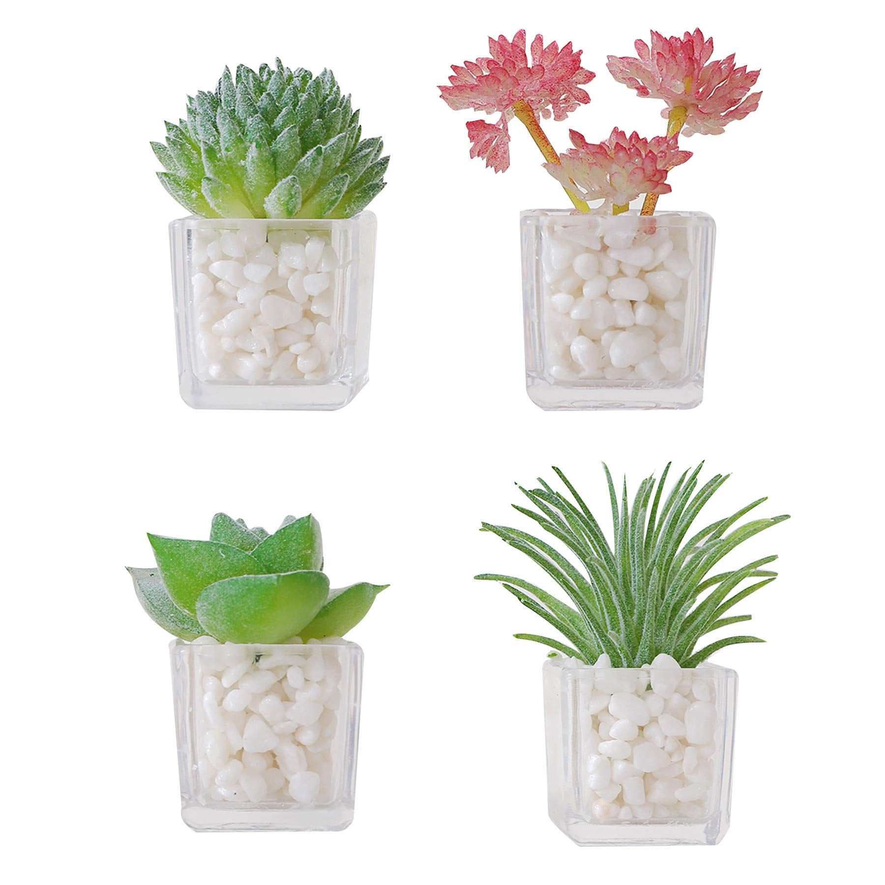 Decorative plant magnets for refrigerator surfaces