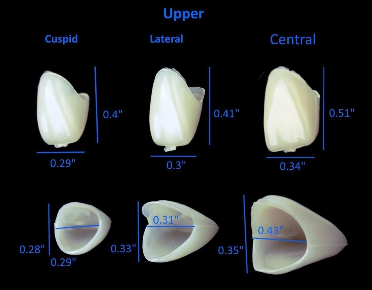 Anterior teeth temporary crowns packaging 50