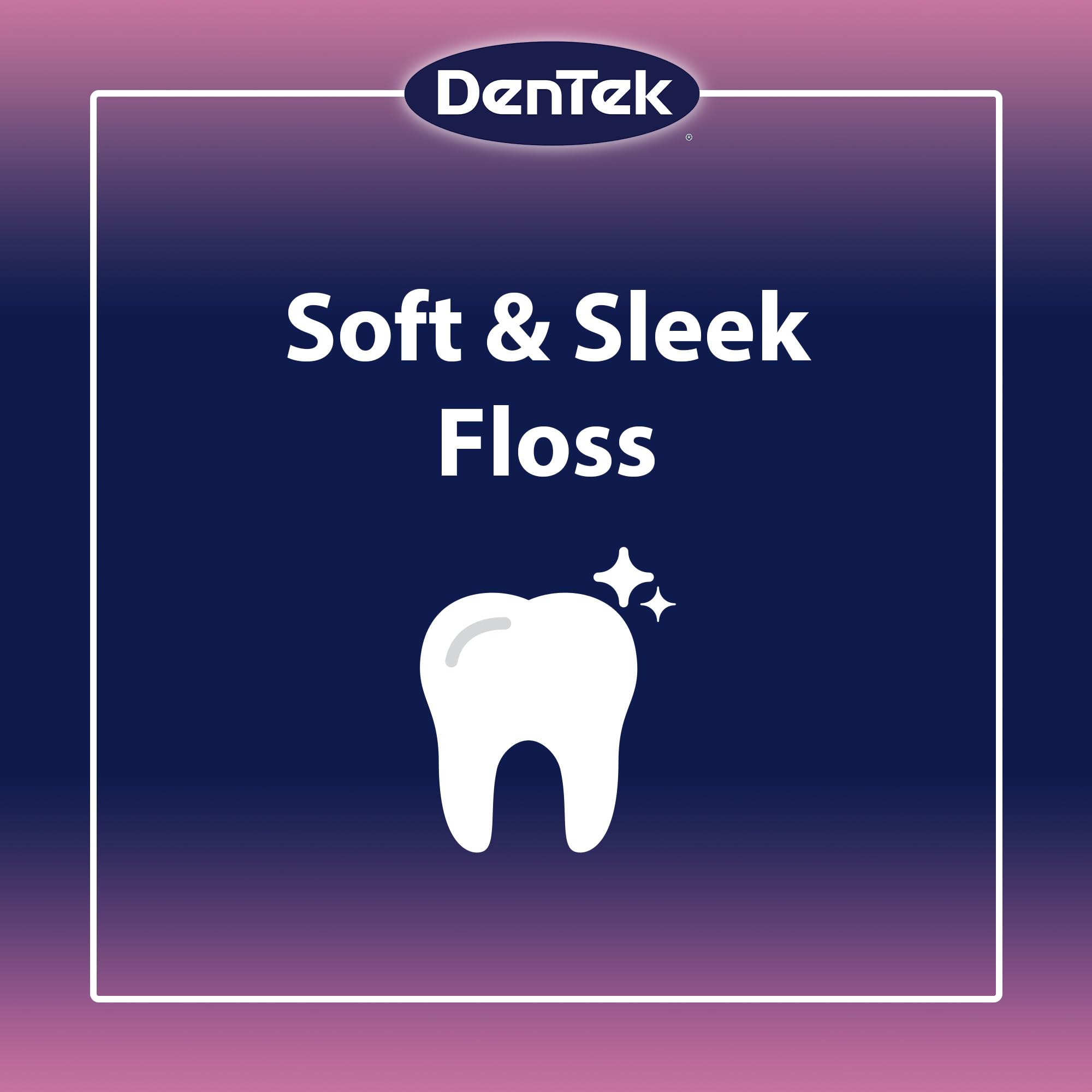 Dentek Floss Picks 150 count packaging