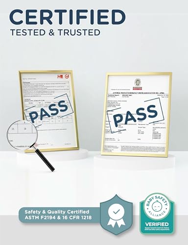 Designed in USA Baby Delight Beside Me Dreamer Bassinet