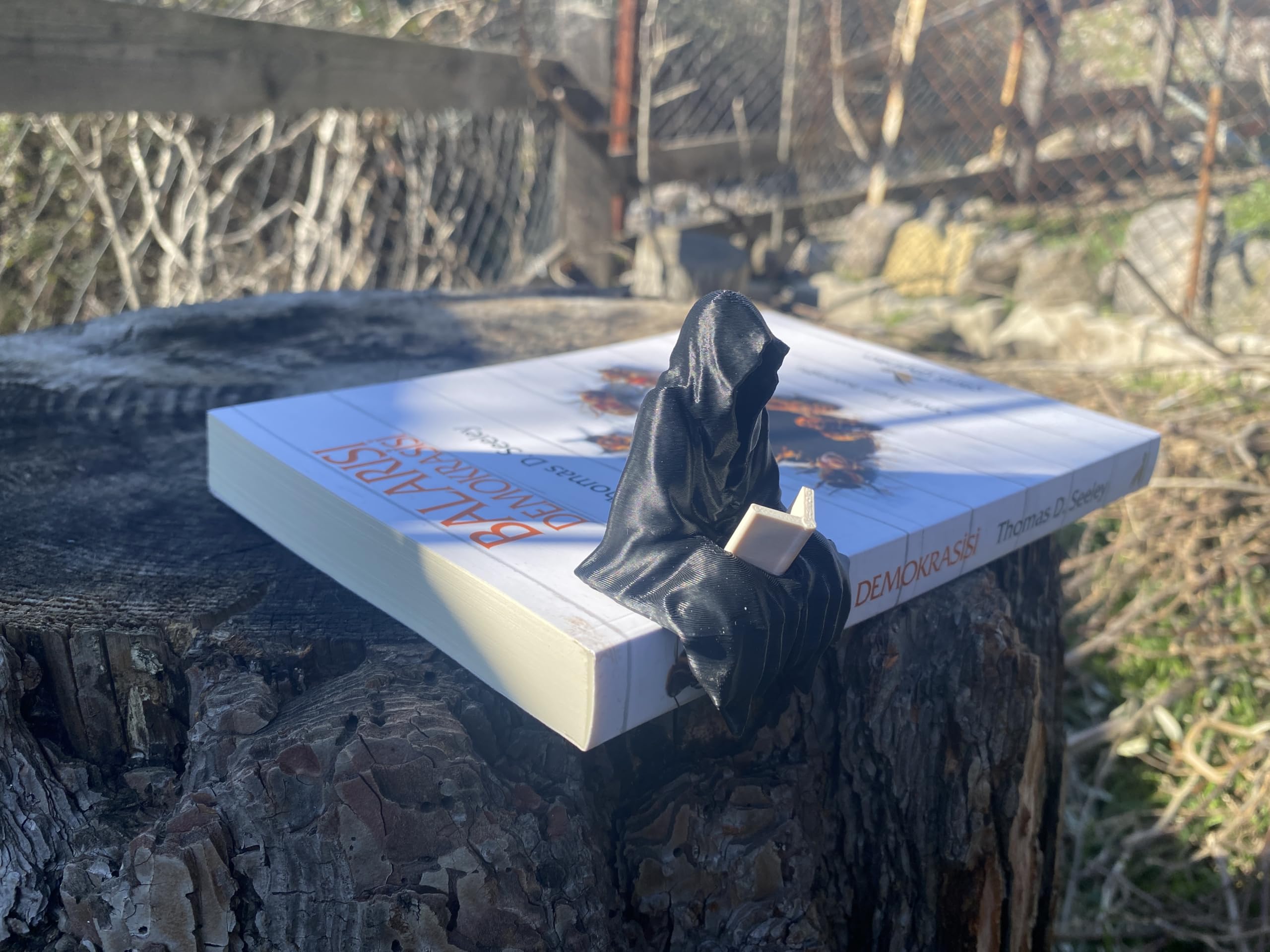 Desk shelf display piece for book lovers