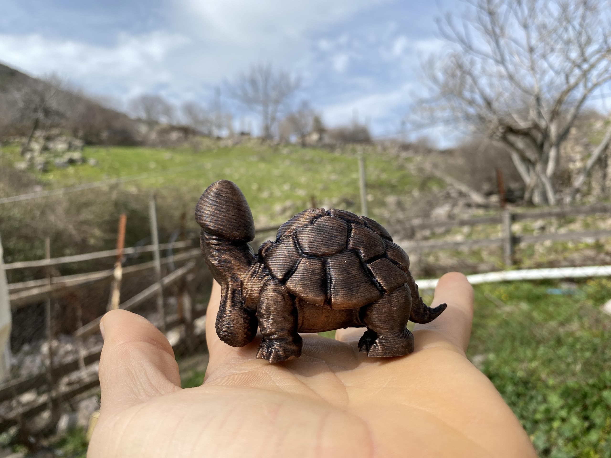 Office and home decor piece penis turtle