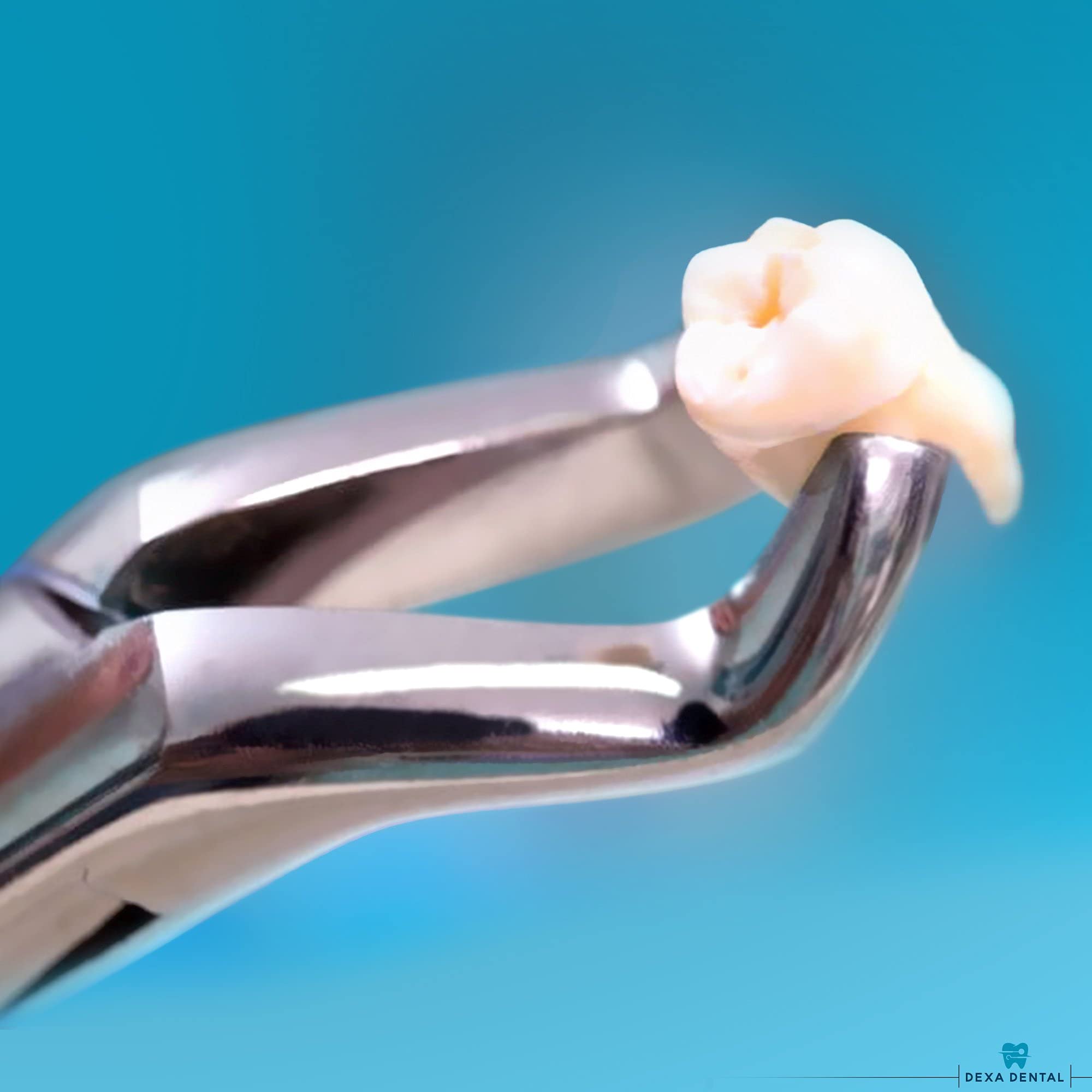 DEXA DENTAL forceps 150 model tip close up