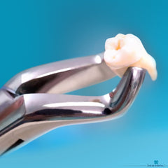DEXA DENTAL forceps 150 model tip close up