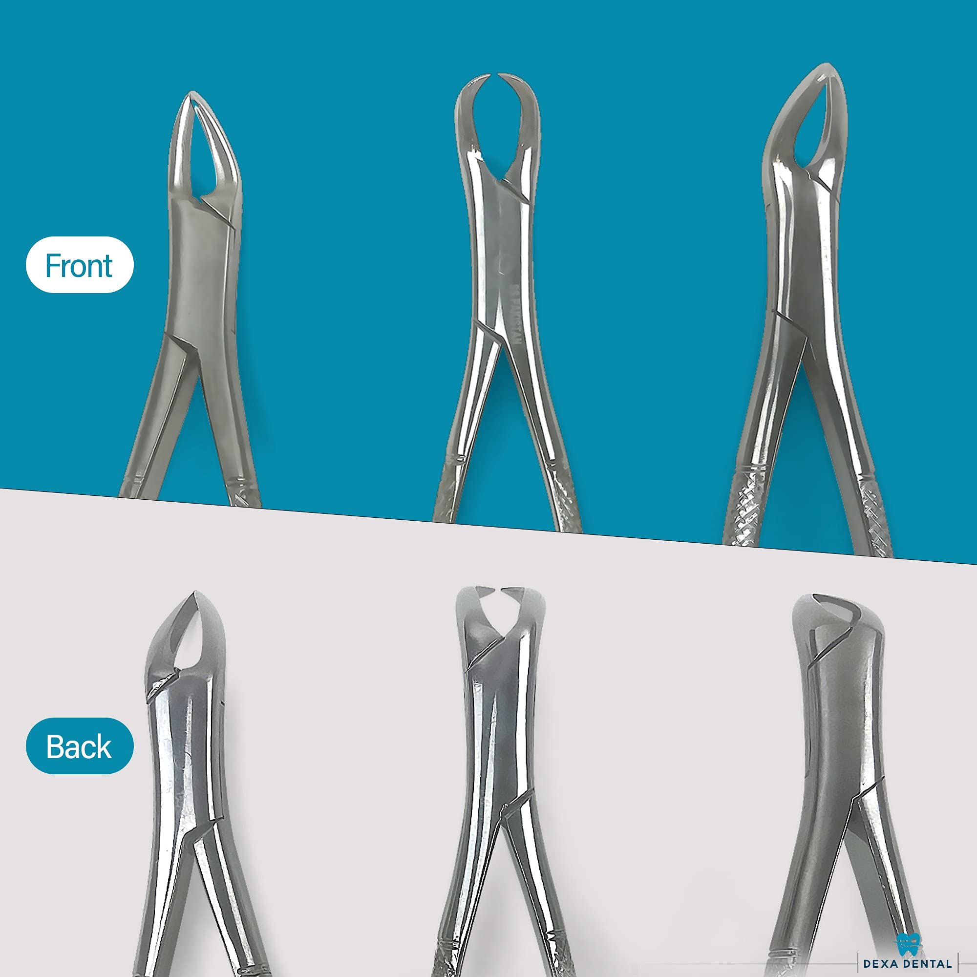 DEXA DENTAL forceps 23 model tip close up