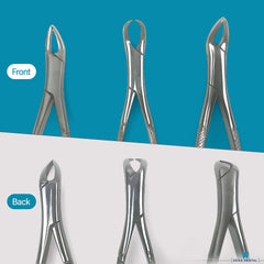 DEXA DENTAL forceps 23 model tip close up