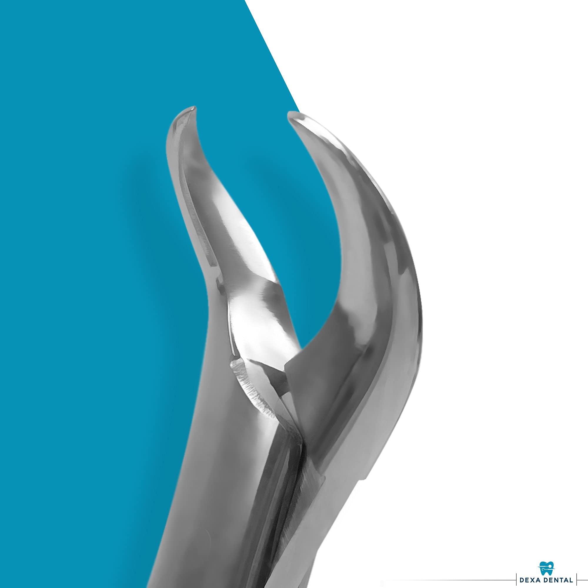 DEXA DENTAL 3 piece pack heavy duty forceps set