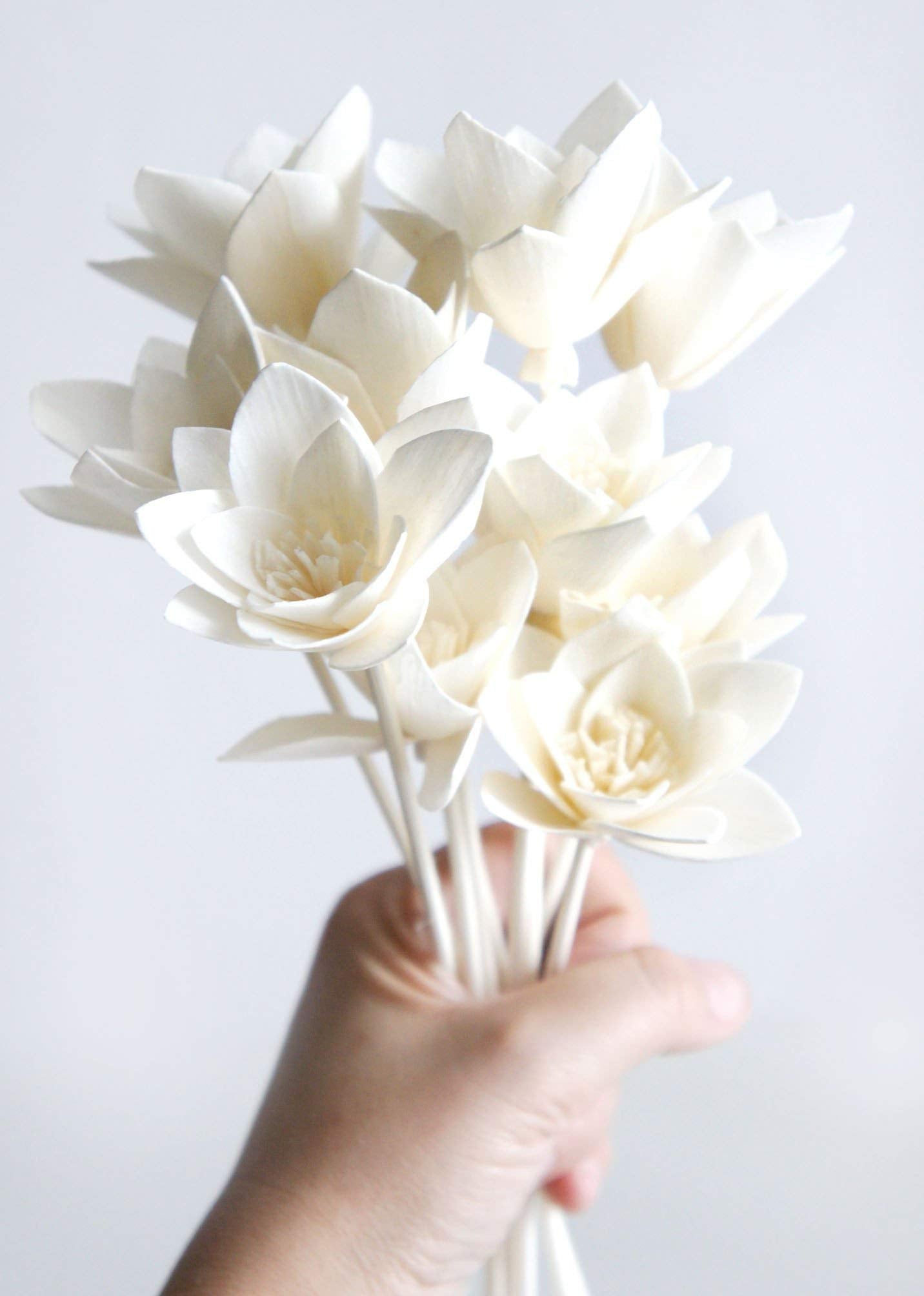 Diffuser set includes 10 Sola flowers not including vase or fragrance