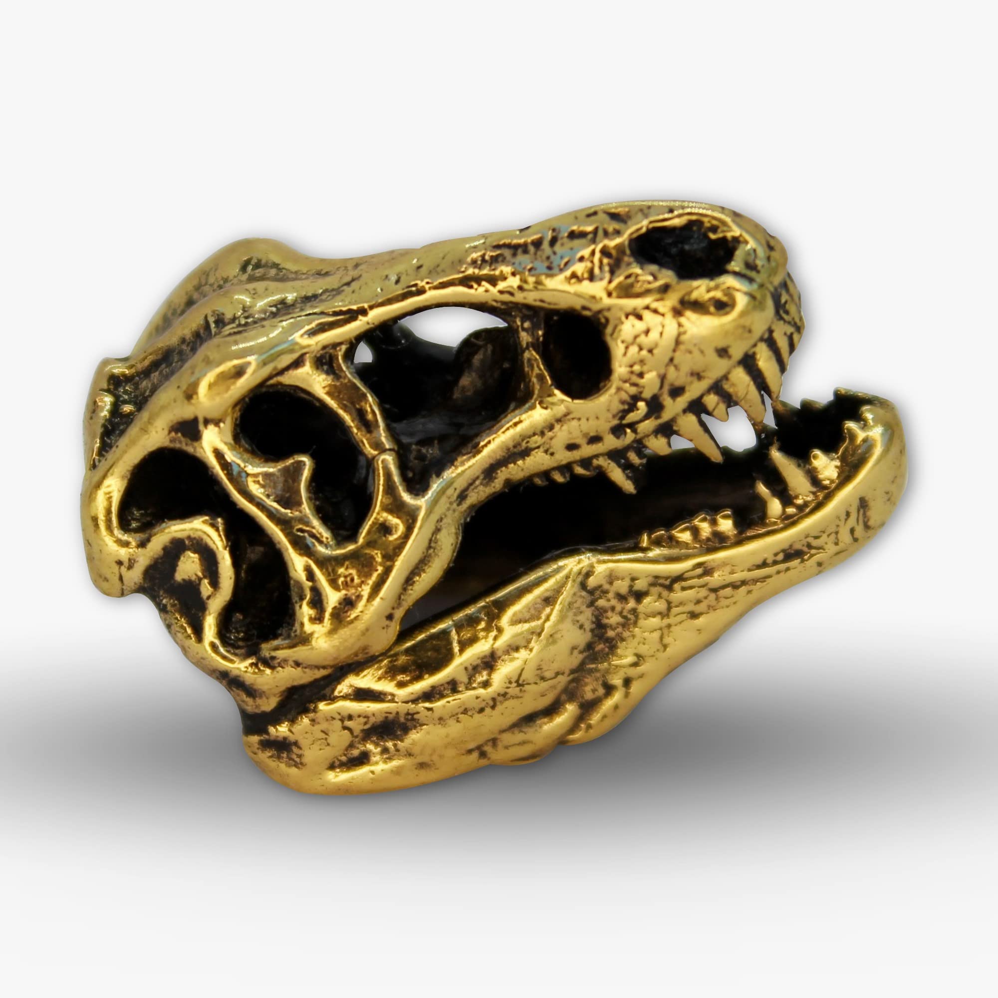 Pendant or keychain T-Rex skull photo