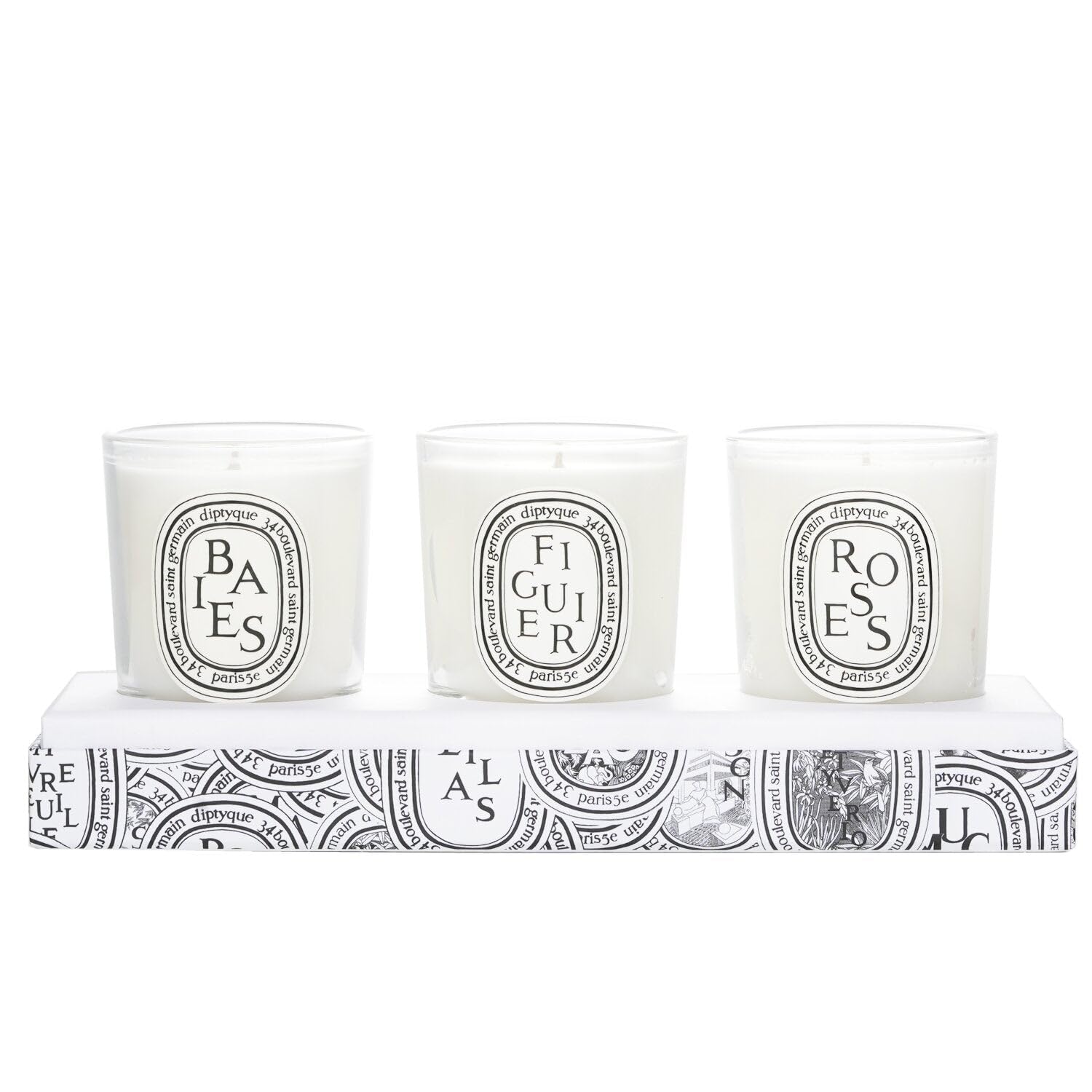 Figuier candle with fig tree leaves and sap notes