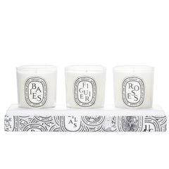 Figuier candle with fig tree leaves and sap notes