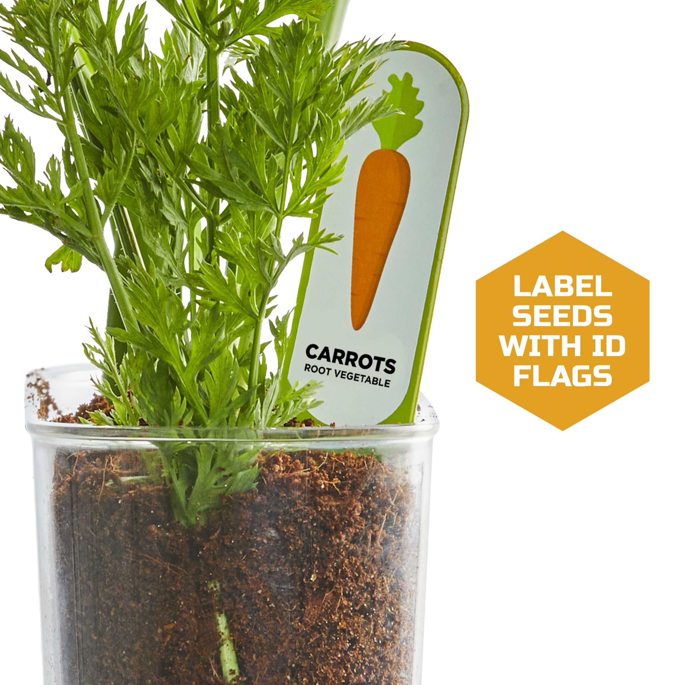 Seed ID flags for labeling vegetables in the kit