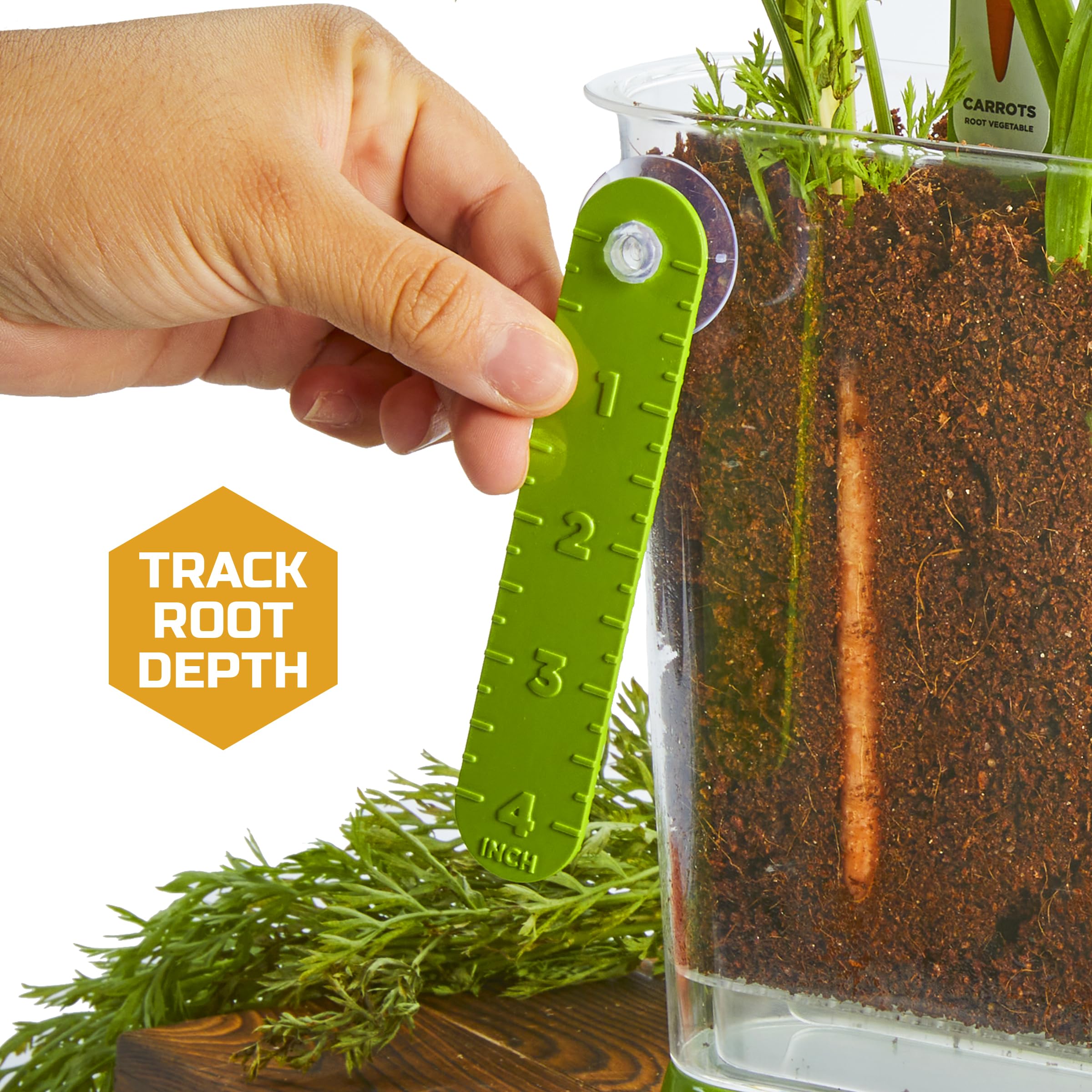 Two bags of coconut coir potting mix included in kit