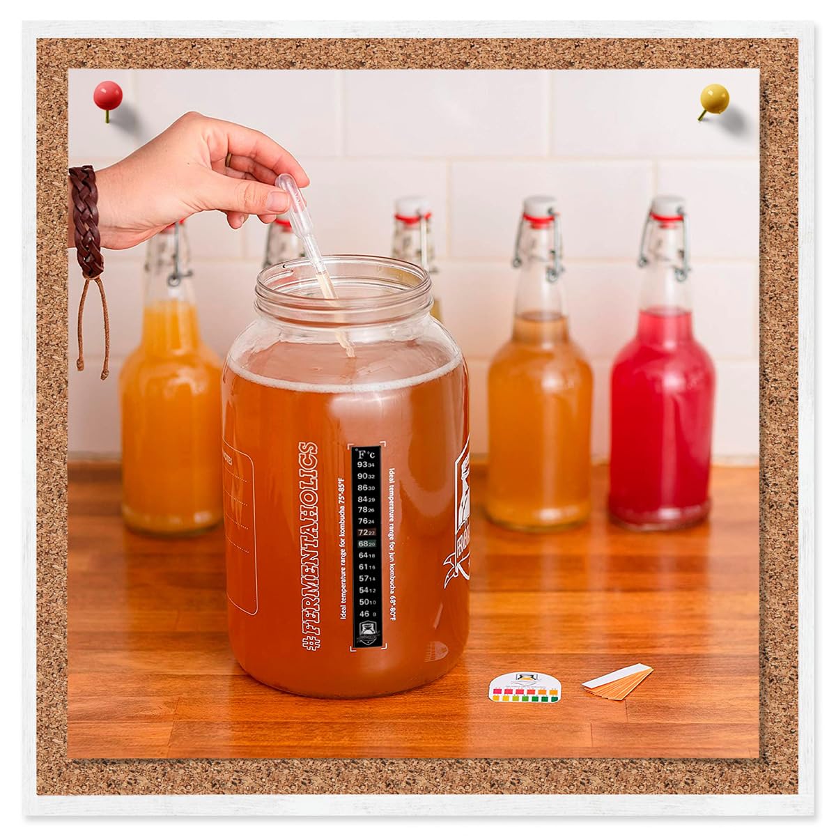 Kombucha fermentation thermometer with adhesive strip