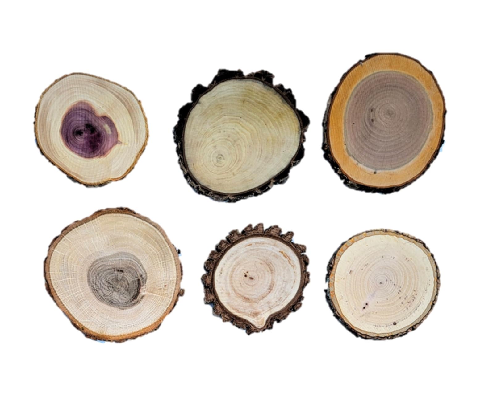 Made in the USA natural dried wood without chemicals