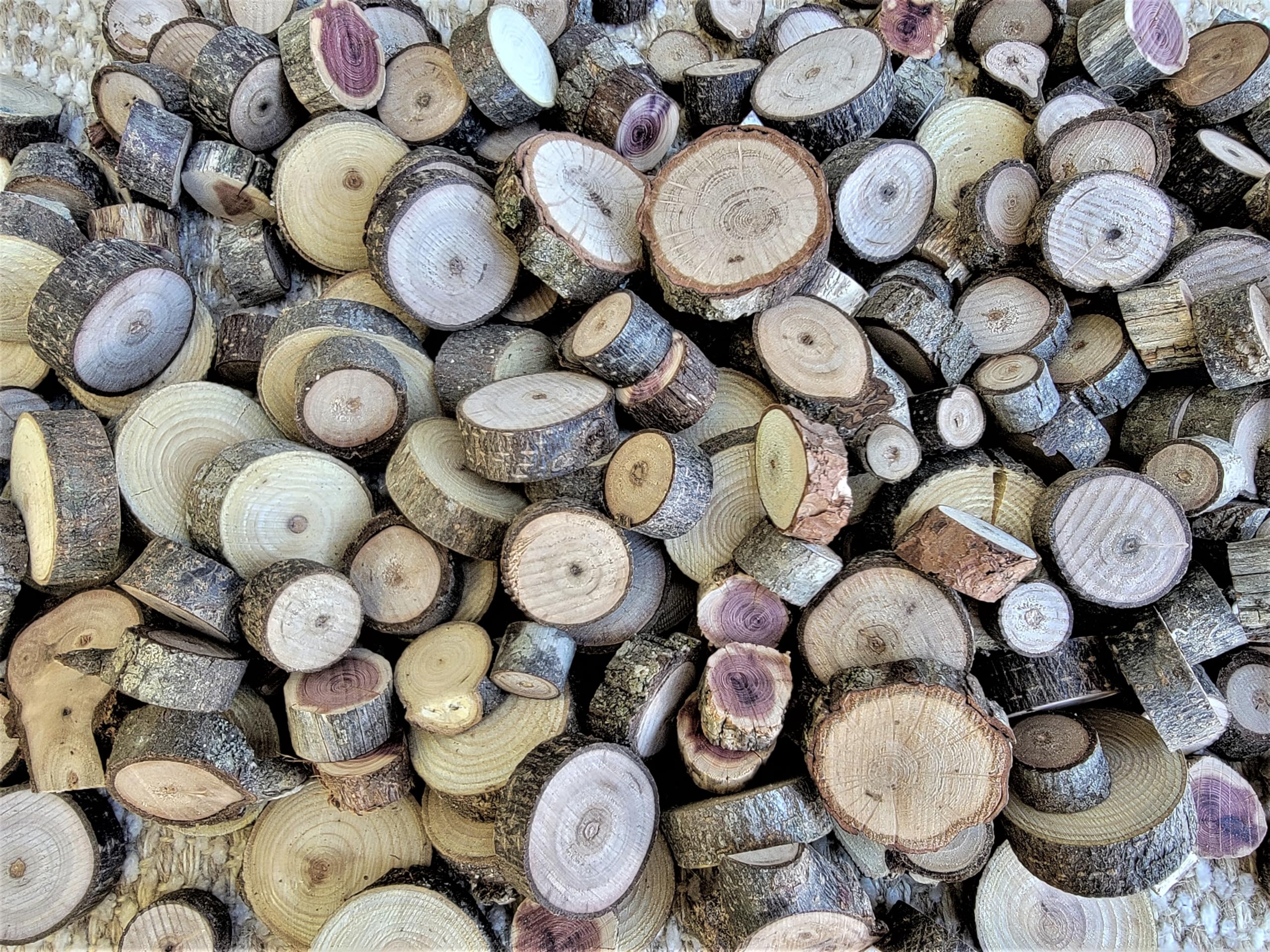 DIY craft wood slices ready for embellishments