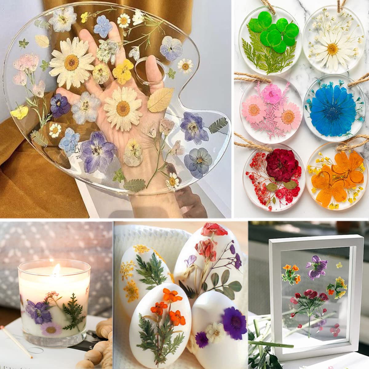 YouthBro natural pressed flowers for DIY art