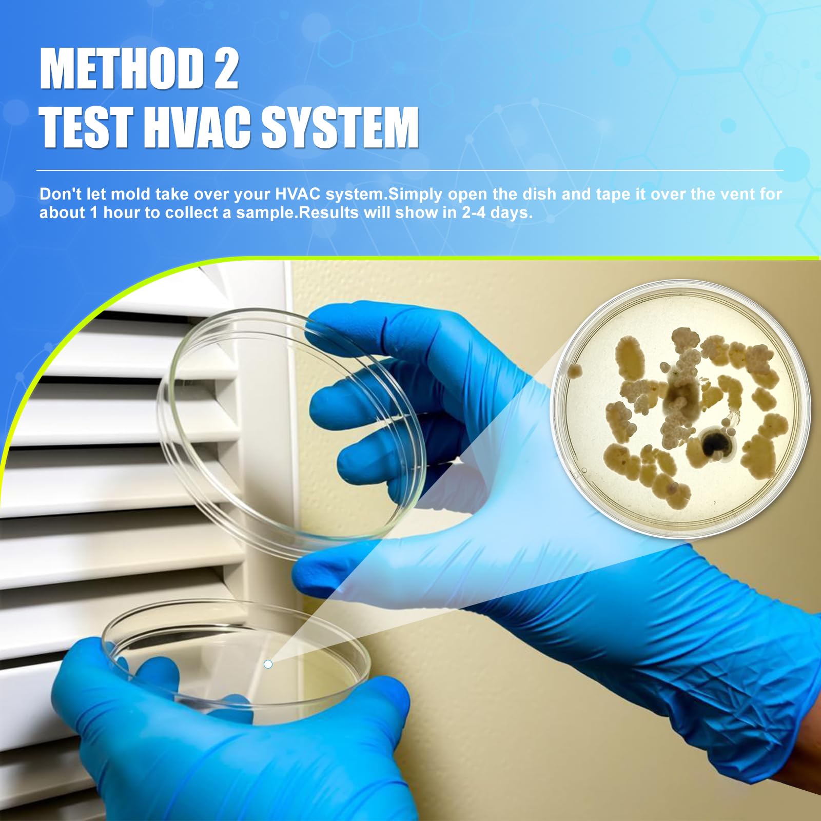 DIY mold detector for home kit contents