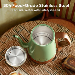 Stainless steel interior gooseneck kettle DmofwHi green