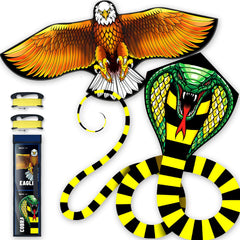 Doinfly kite set ages 8-12 Eagle and Snake kites on display