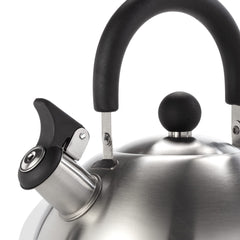 Stainless steel whistling tea kettle with ergonomic handle