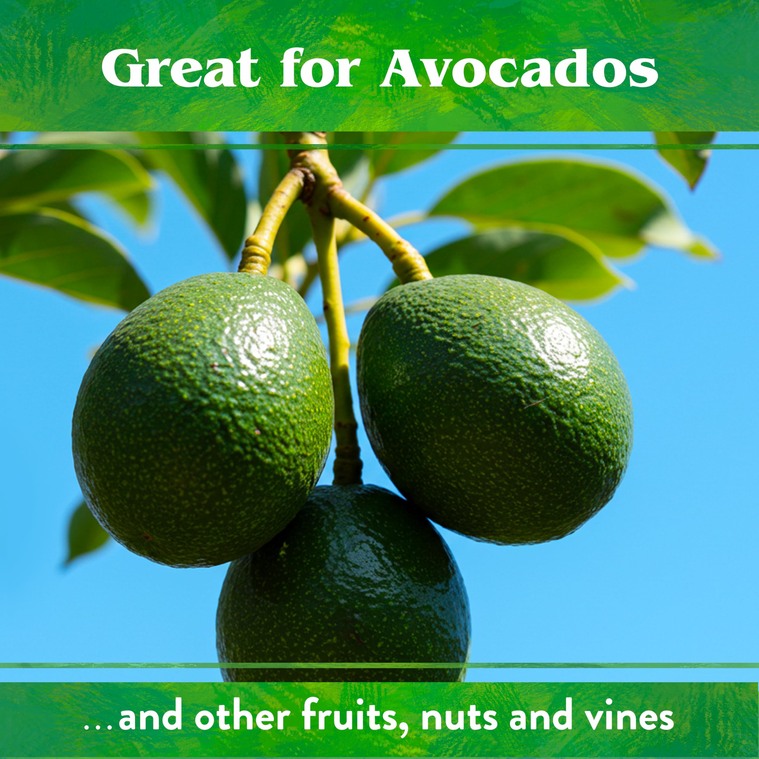 Down To Earth organic fertilizer for citrus trees