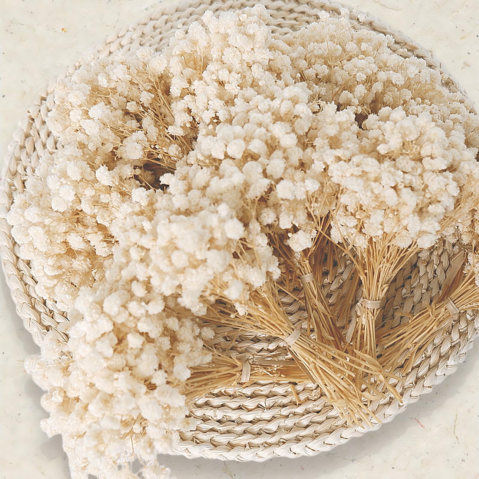 Ivory dried babys breath flowers 150pcs arranged in a bundle