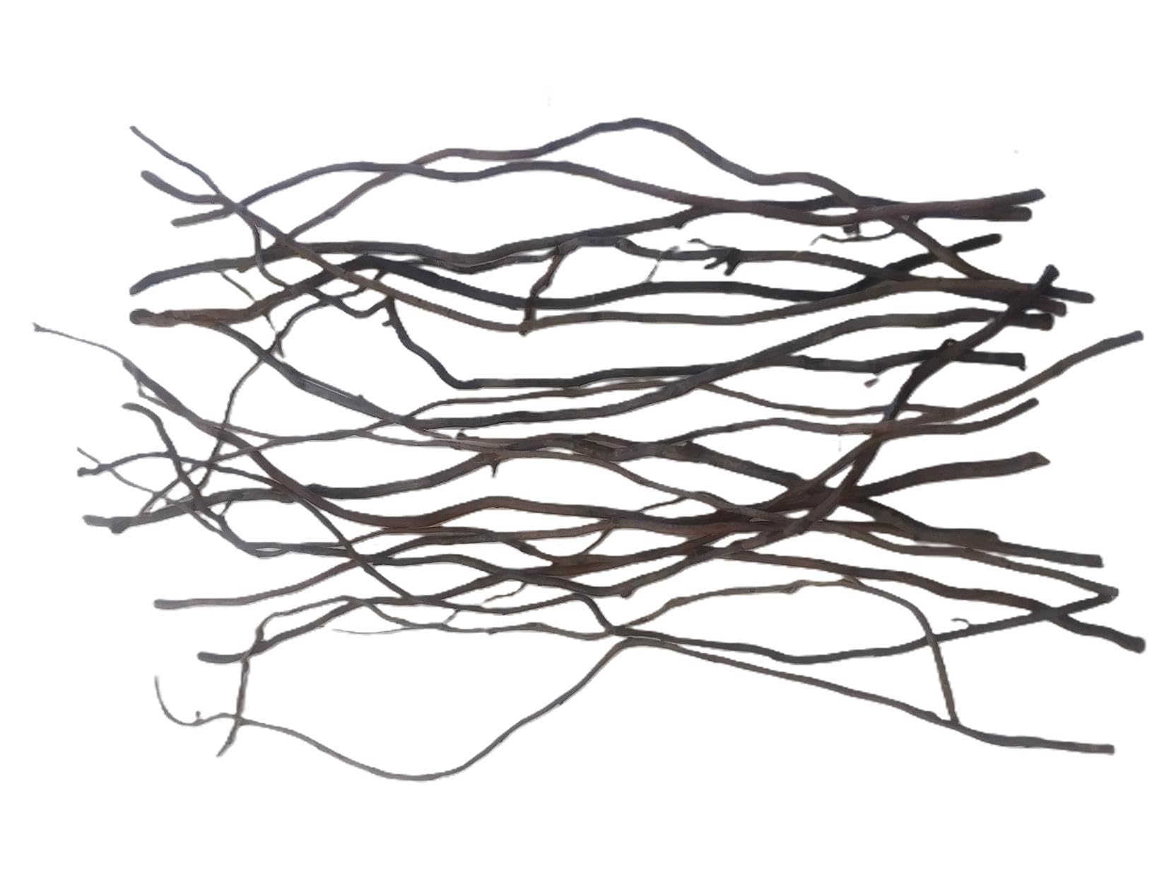 Dried corkscrew willow branch ends 10-14 inches, 15 pieces