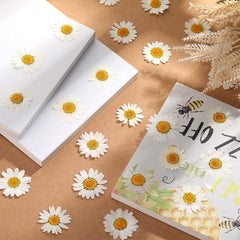 Natural dried daisy petals suitable for resin crafts