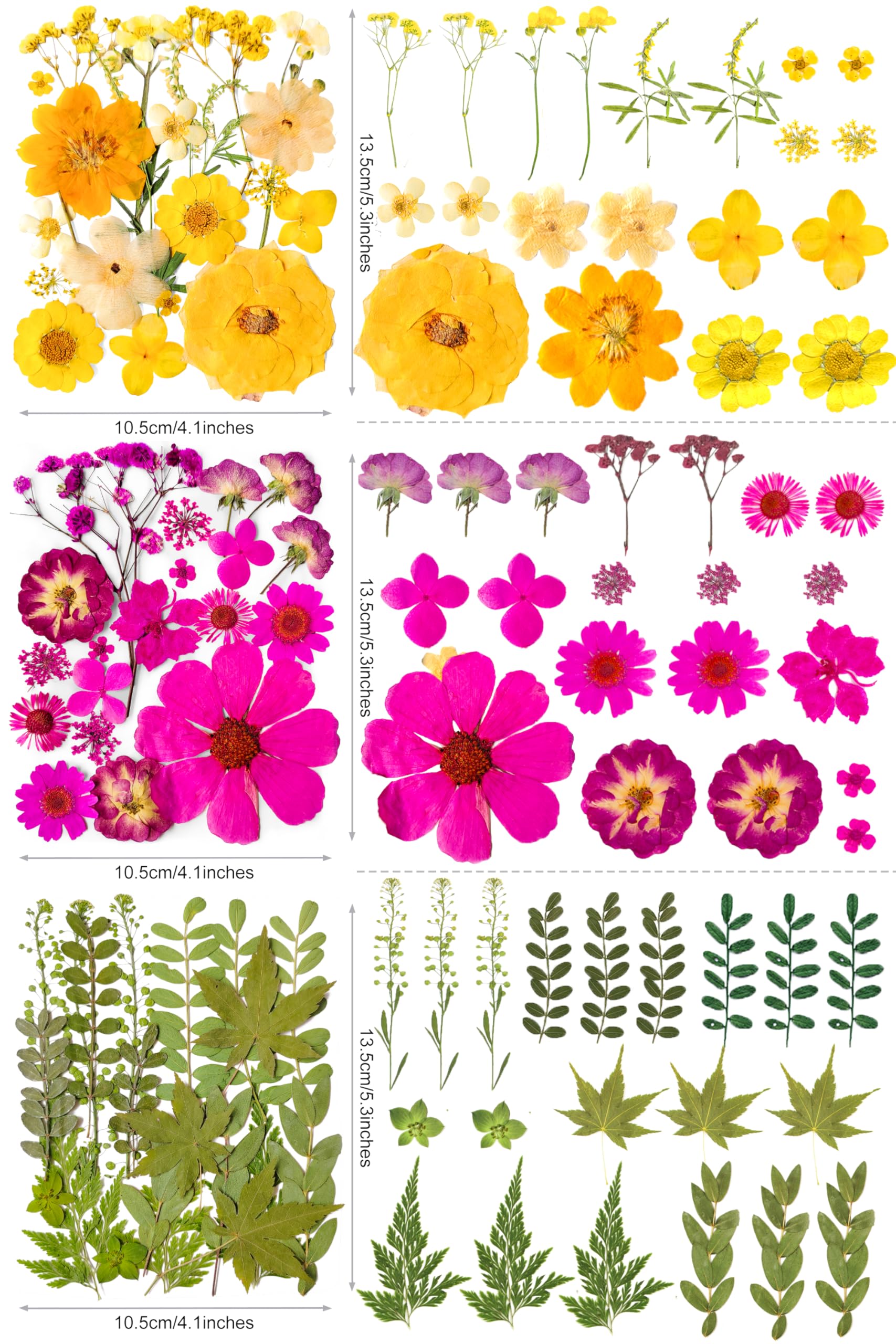 Vacuum sealed package for real natural flowers