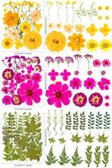 Vacuum sealed package for real natural flowers