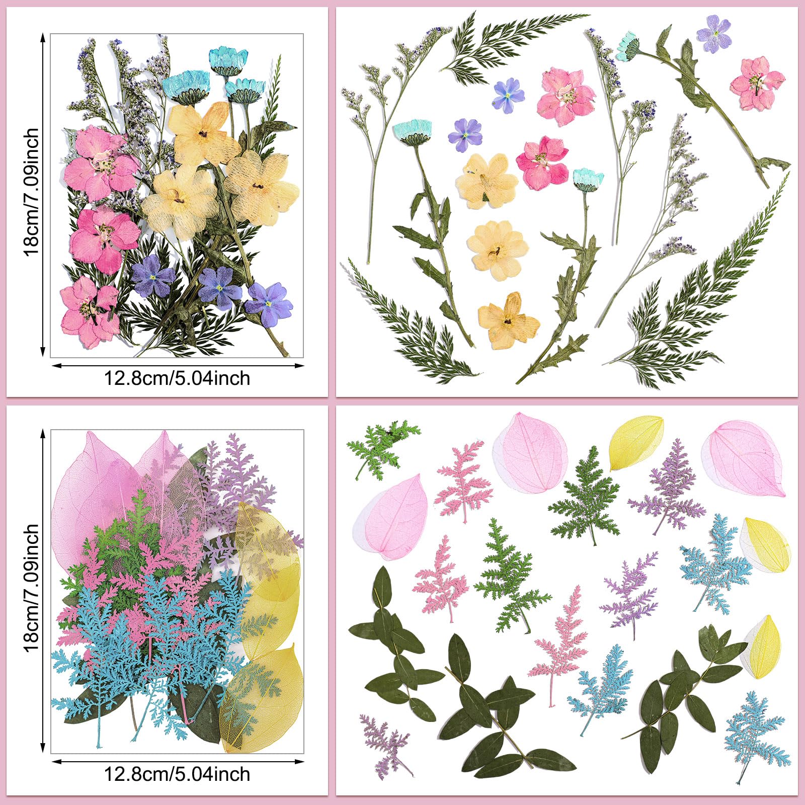 Nail art and scrapbooking with dried flowers