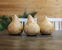 Natural variations in size color and shape of Martin gourds