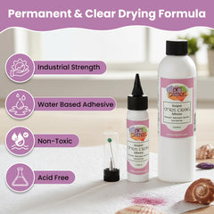 Dries clear adhesive suitable for cardstock and scrapbooks