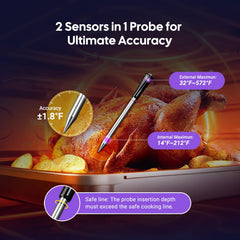 dual sensor probes measuring core and ambient temperature