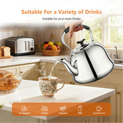 Dust cover spout tea kettle detail
