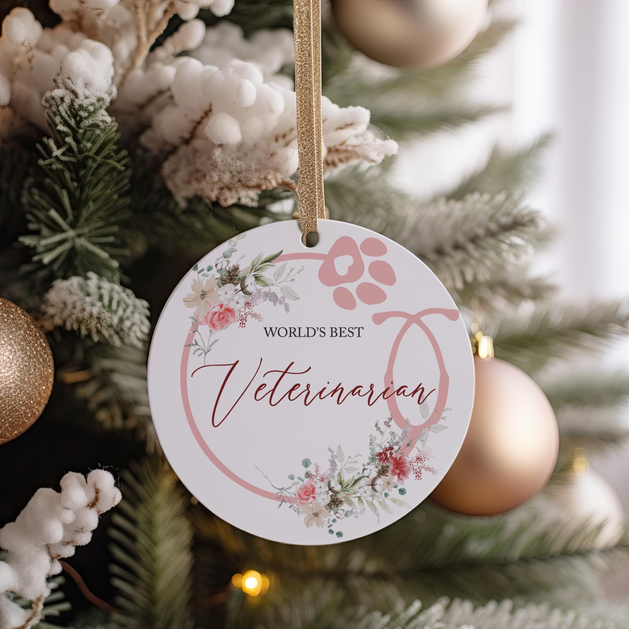 DVM woman grad gift ornament graduate veterinarian ornament