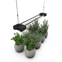 DYMOND BoostGro LED Grow Light 2 ft black indoor plant lighting fixture