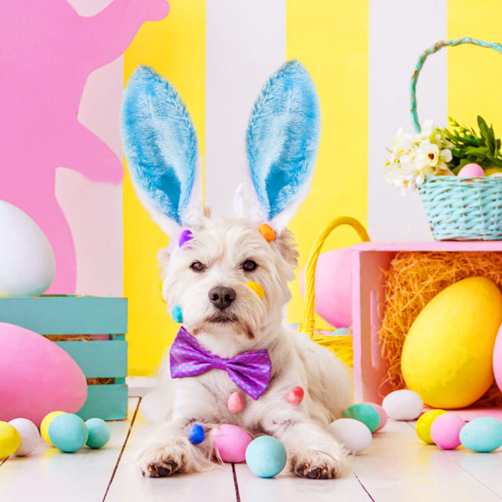 Easter party decorations MGparty set