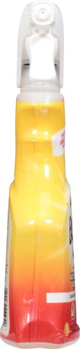 Hard non-porous surface cleaner Easy Off 16 oz