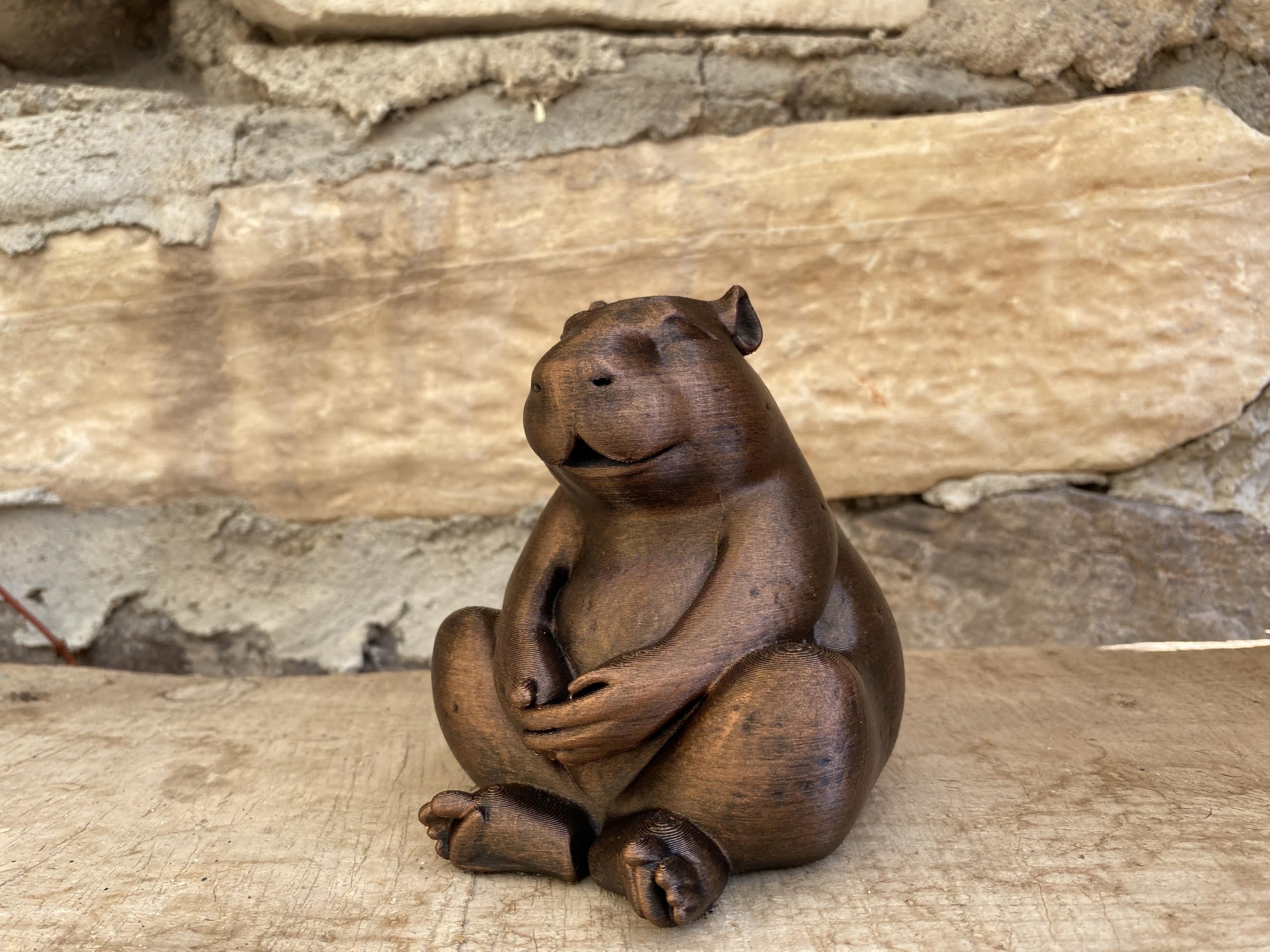 Capybara gift idea for meditation lovers