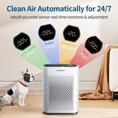 PM2.5 sensor with real-time display on ECOSELF purifier