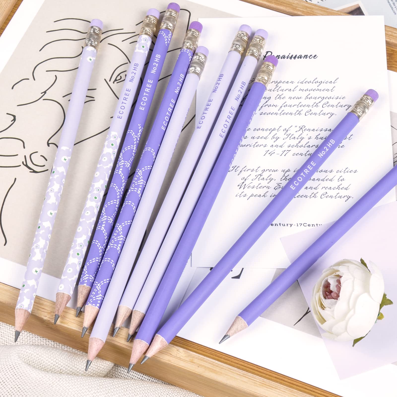 Gift-ready ECOTREE pastel pencils ideal for students and teachers