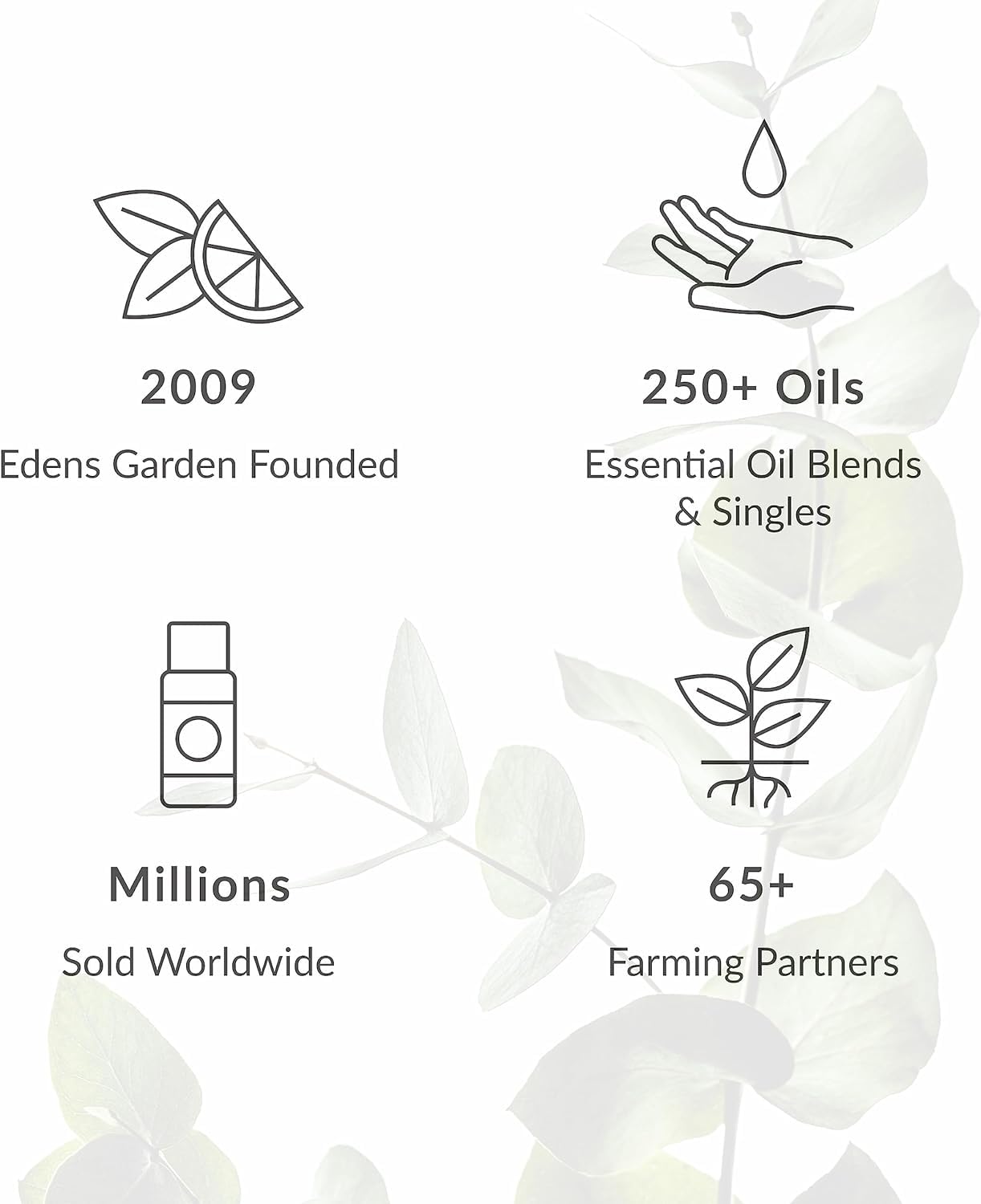 Diffusing Edens Garden cleaning oil blend
