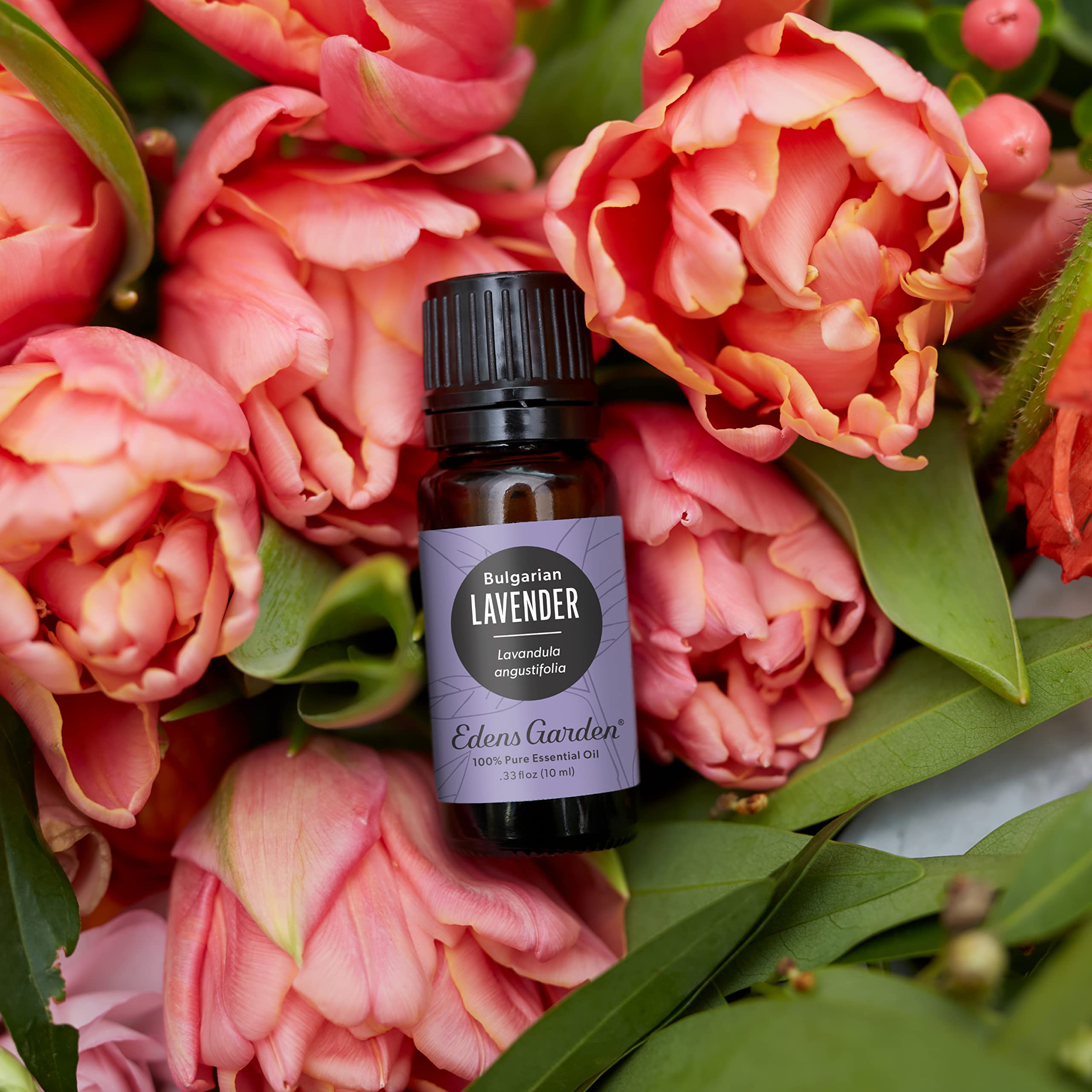Edens Garden lavender Bulgarian essential oil 10 ml packaging