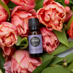 Edens Garden lavender Bulgarian essential oil 10 ml packaging