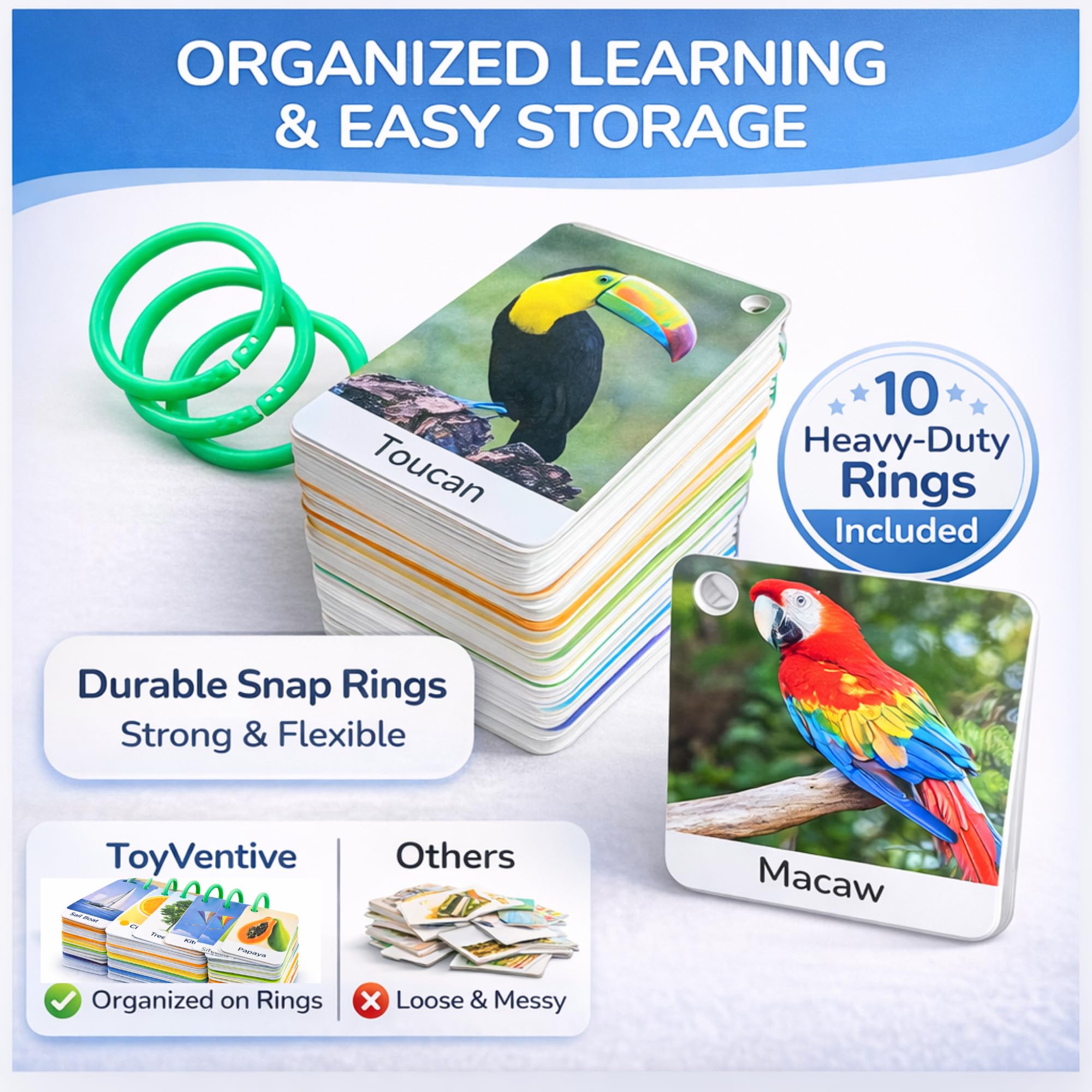 Durable laminated toddler flashcards set