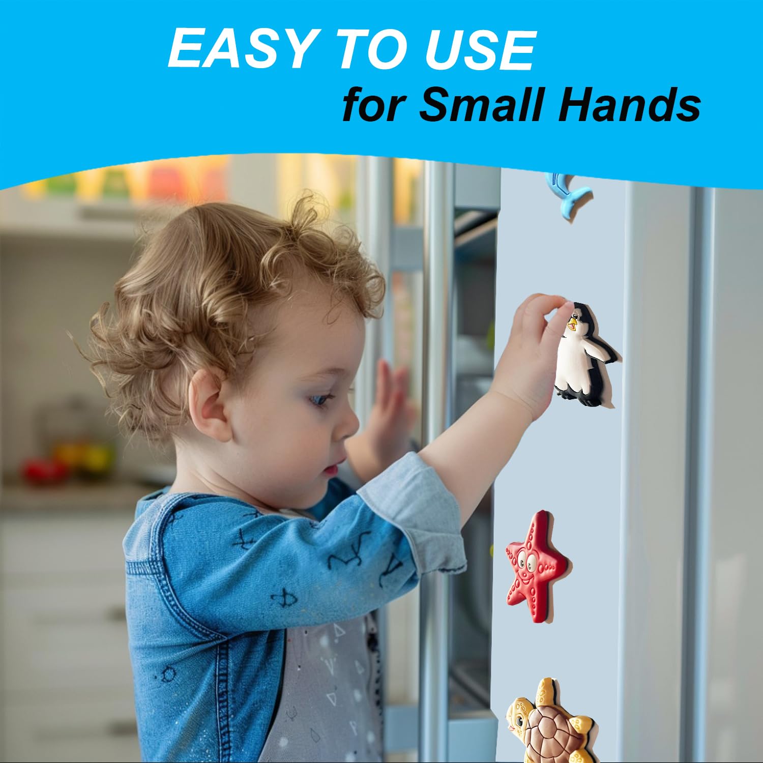 Educational magnet for whiteboard and fridge