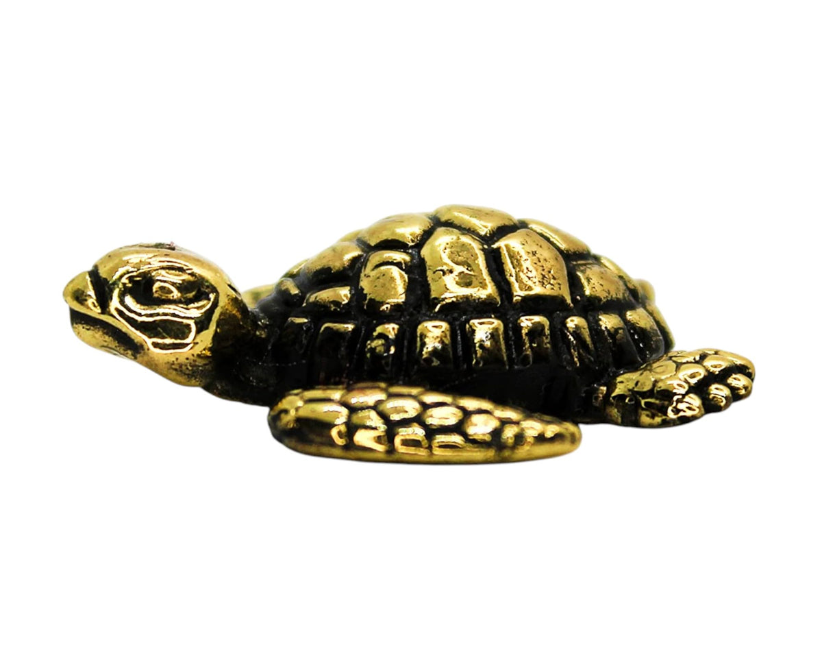 EDYSONS Brass Turtle Figurine front view